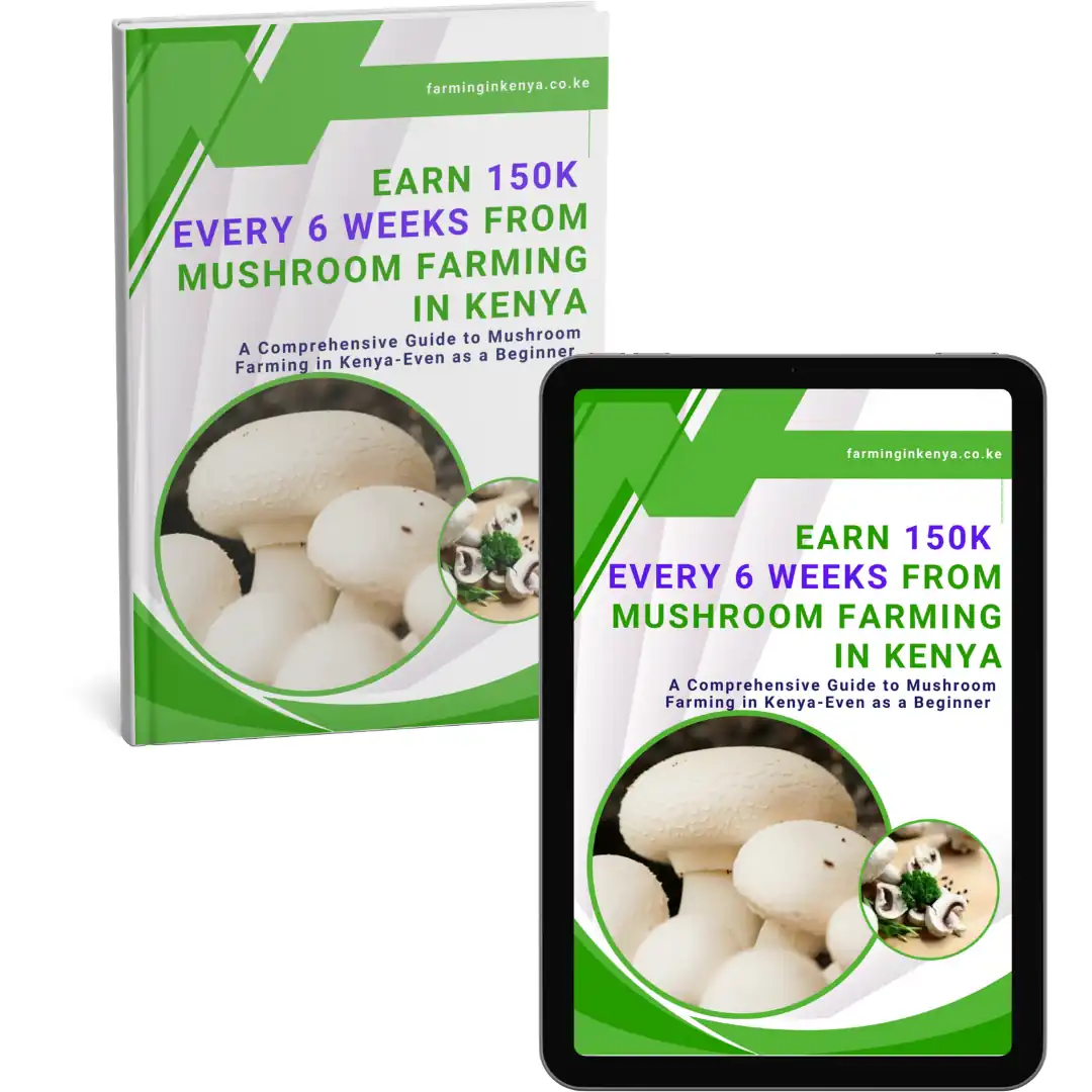 Earn 150k Every 6 Weeks From Mushroom Farming in Kenya